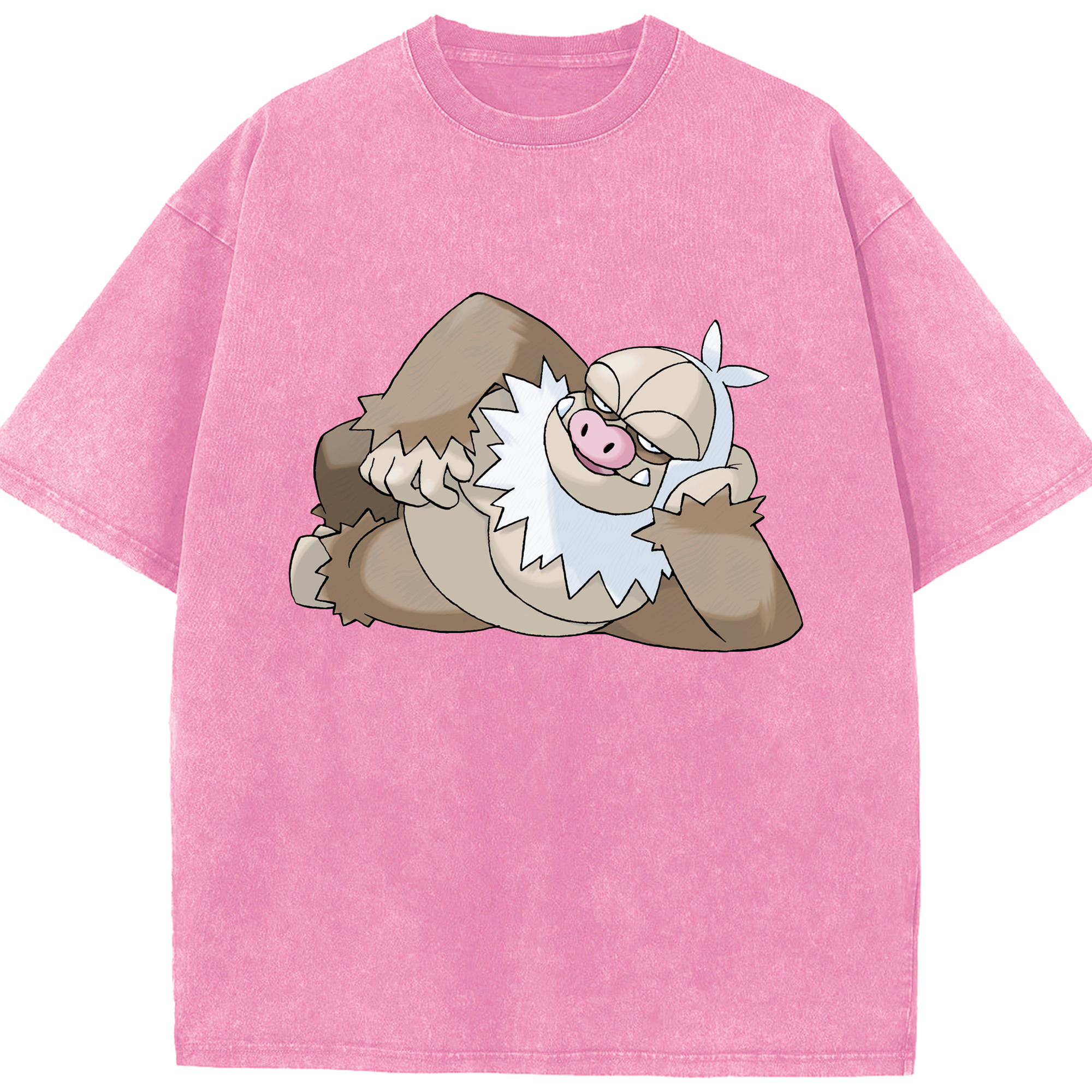 （画像用） ポケットモンスター Pokémon 綿100% ヴィンテージ風 半袖Tシャツ（フロントプリント）